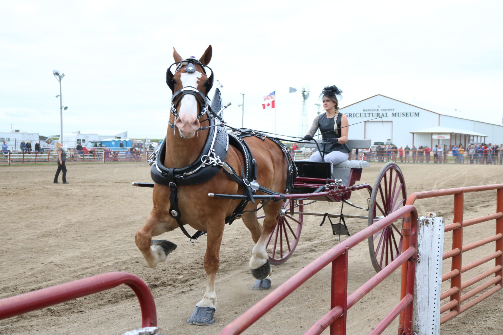 Ladies' Cart 5